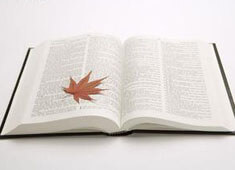 霍芬海姆攻防都有亮点，占据德甲第三位置